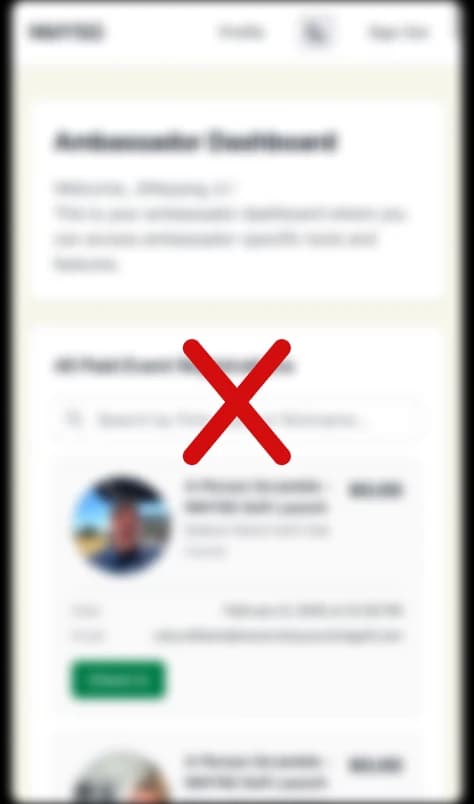 The supplied blurred reference of the earlier ambassador dashboard.